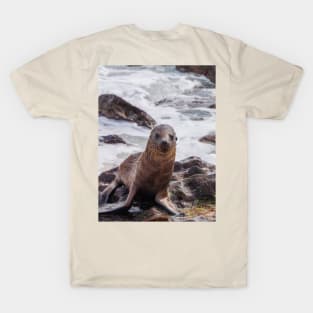 Sea Lion on the Shore T-Shirt